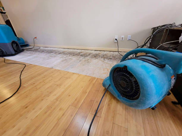 Professional Water Damage Repair technician working in Lindsay, TX